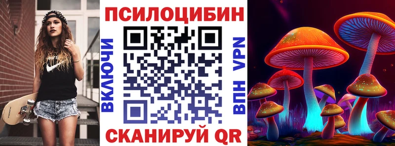 Псилоцибиновые грибы Cubensis  купить закладку  Кольчугино 